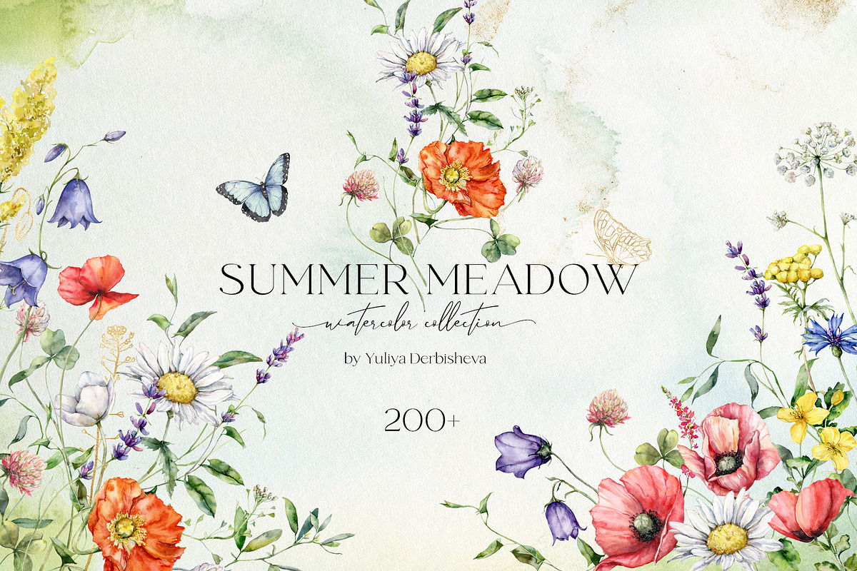 SUMMER MEADOW wildflower watercolor, a Decorative Illustration by Yuliya Derbisheva (Photo 1 of 16)