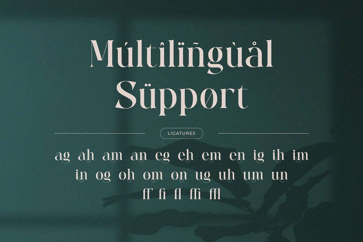 Bahena – Elegant Display Serif Font, a Serif Font by BrandSemut (Photo 8 of 10)