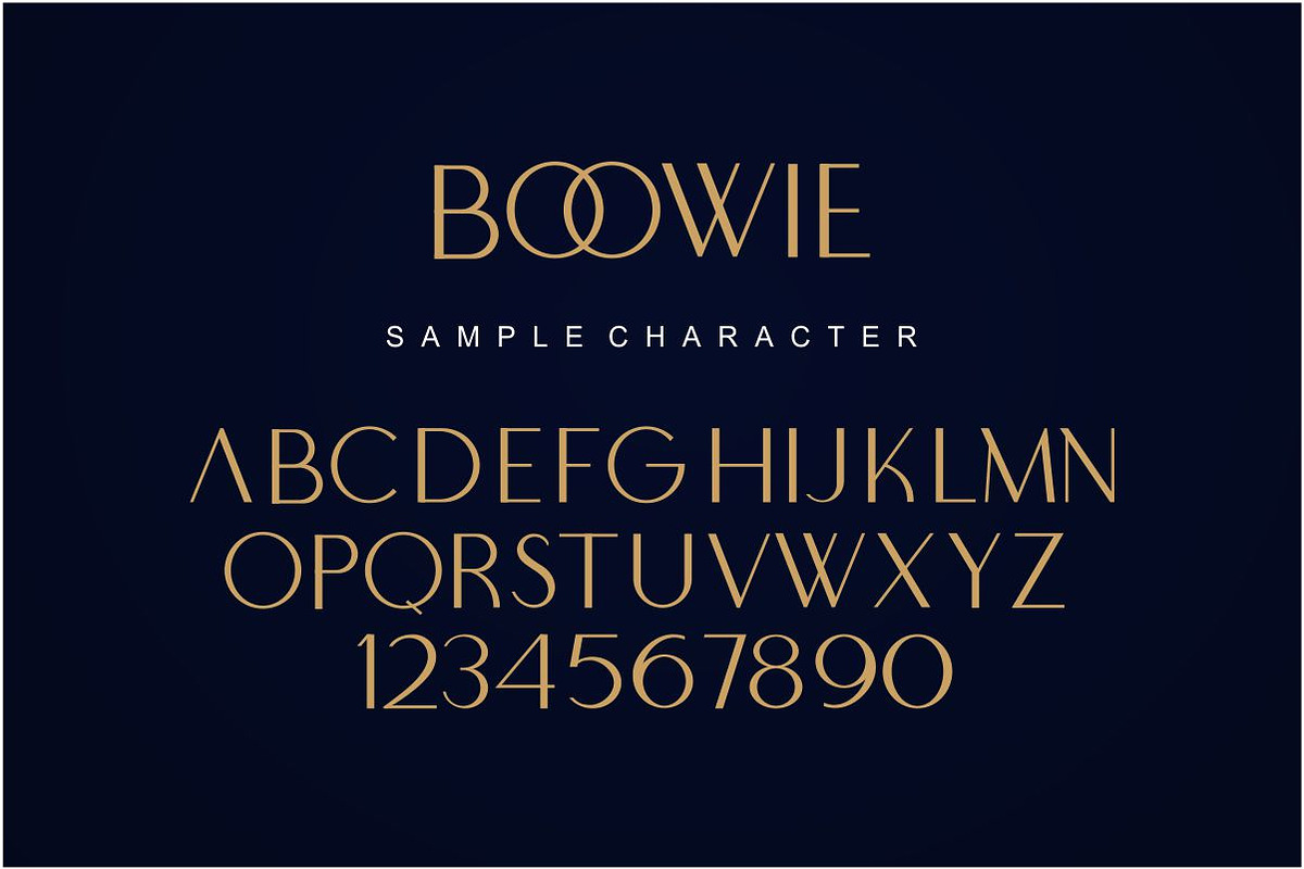 Boowie || Modern minimalist elegant., a Sans Serif Font by typeline studio (Photo 10 of 10)
