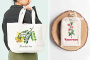 New Zealand native flowers, a Decorative Illustration by FITALARTSNEDIGI (Thumbnail 5 of 6)