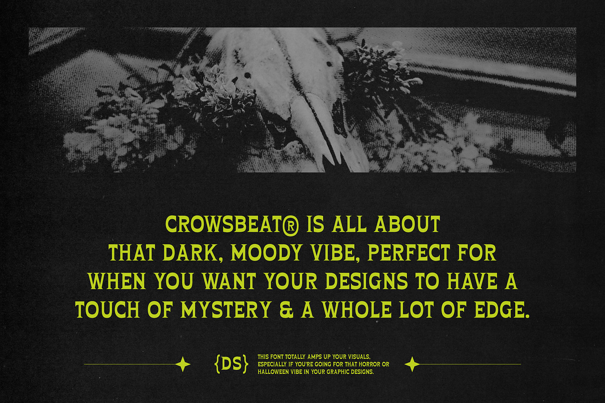 Crowsbeat – Reversed Contrast Horror, a Serif Font by Drizy (Photo 3 of 10)