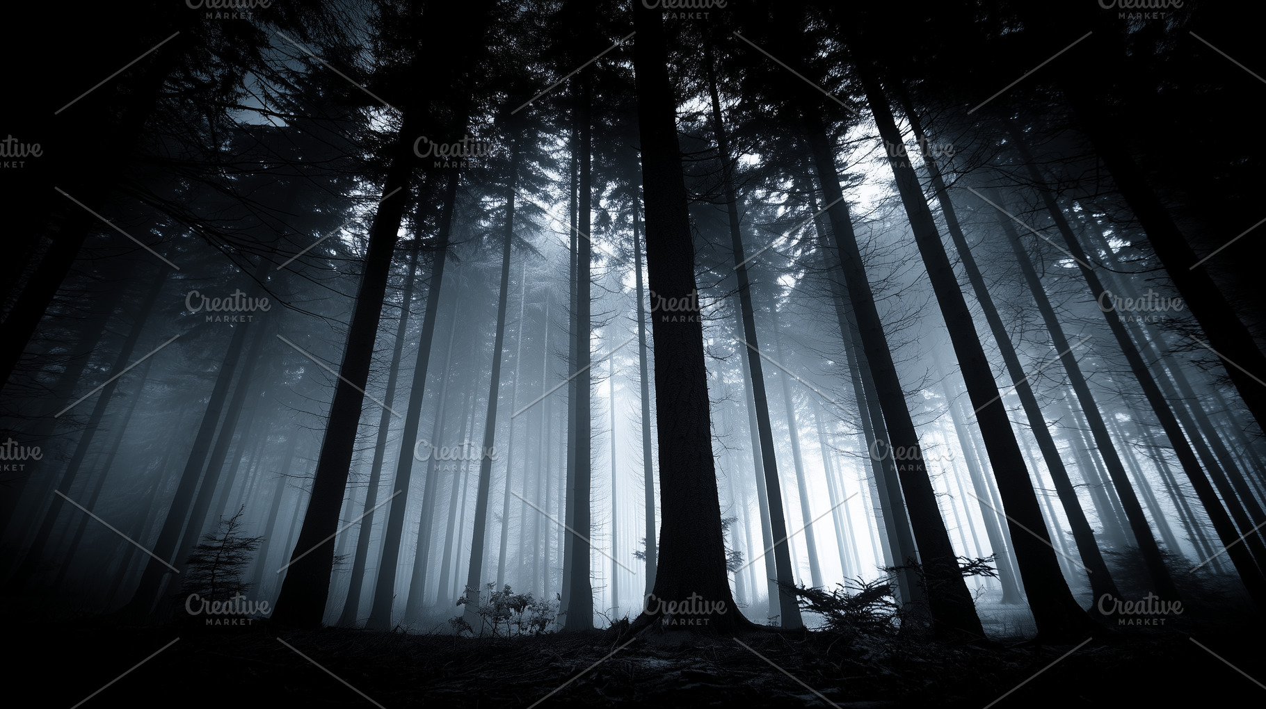 Mysterious dark forest with trees, a Nature Photo by MistyDay