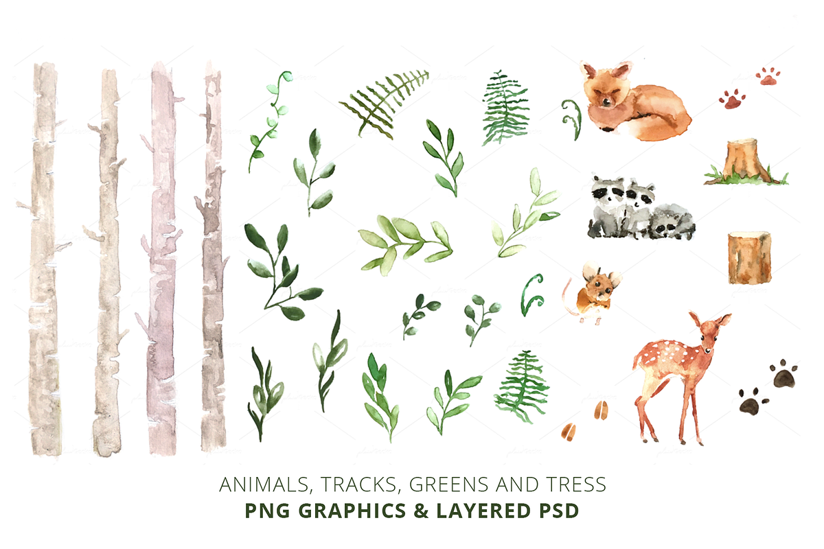 Realistic Watercolor Baby Animals, an Animal Illustration by plaidGecko (Photo 2 of 6)