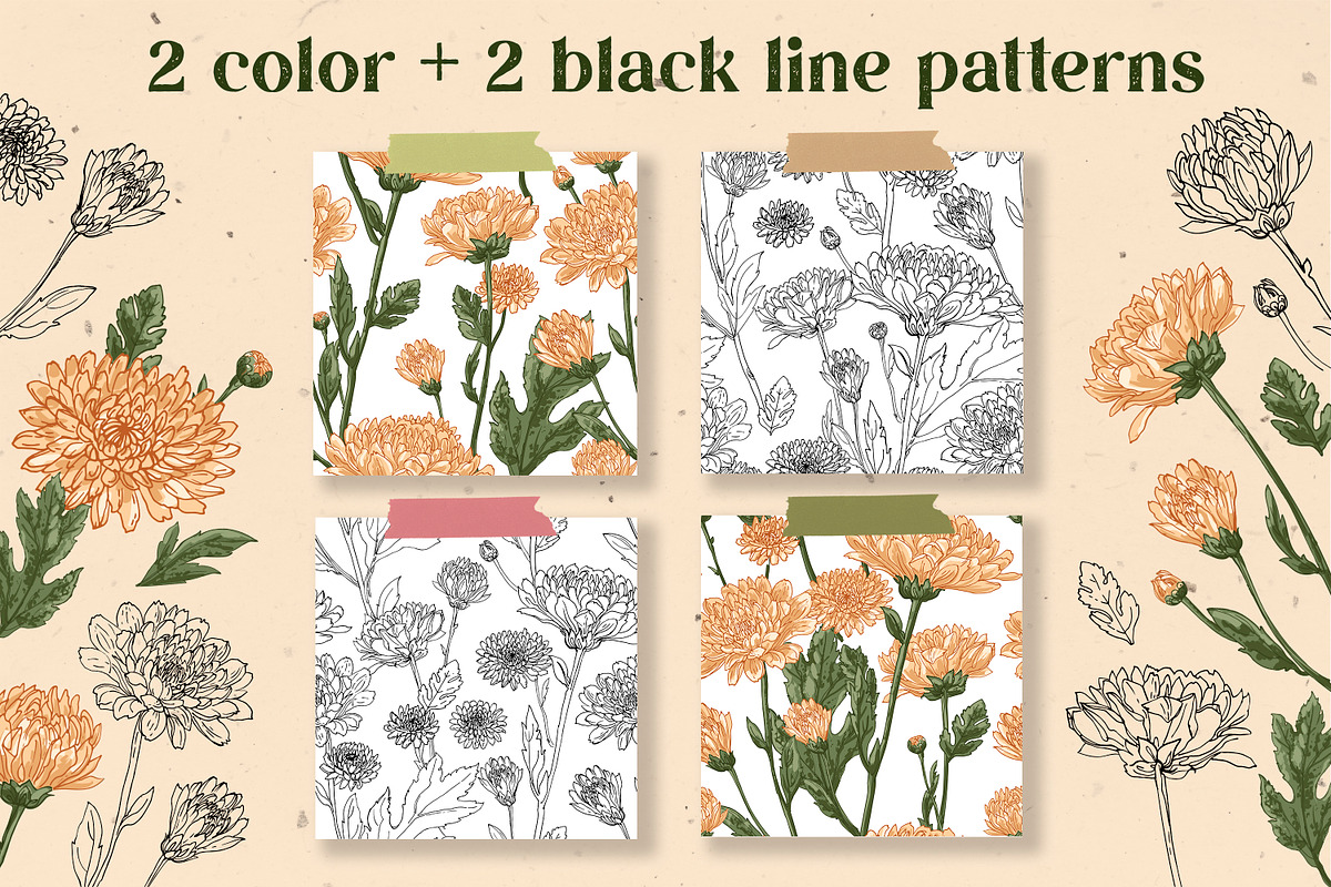 Flowers. Chrysanthemums, an Illustration by irina.vaneeva (Photo 6 of 8)