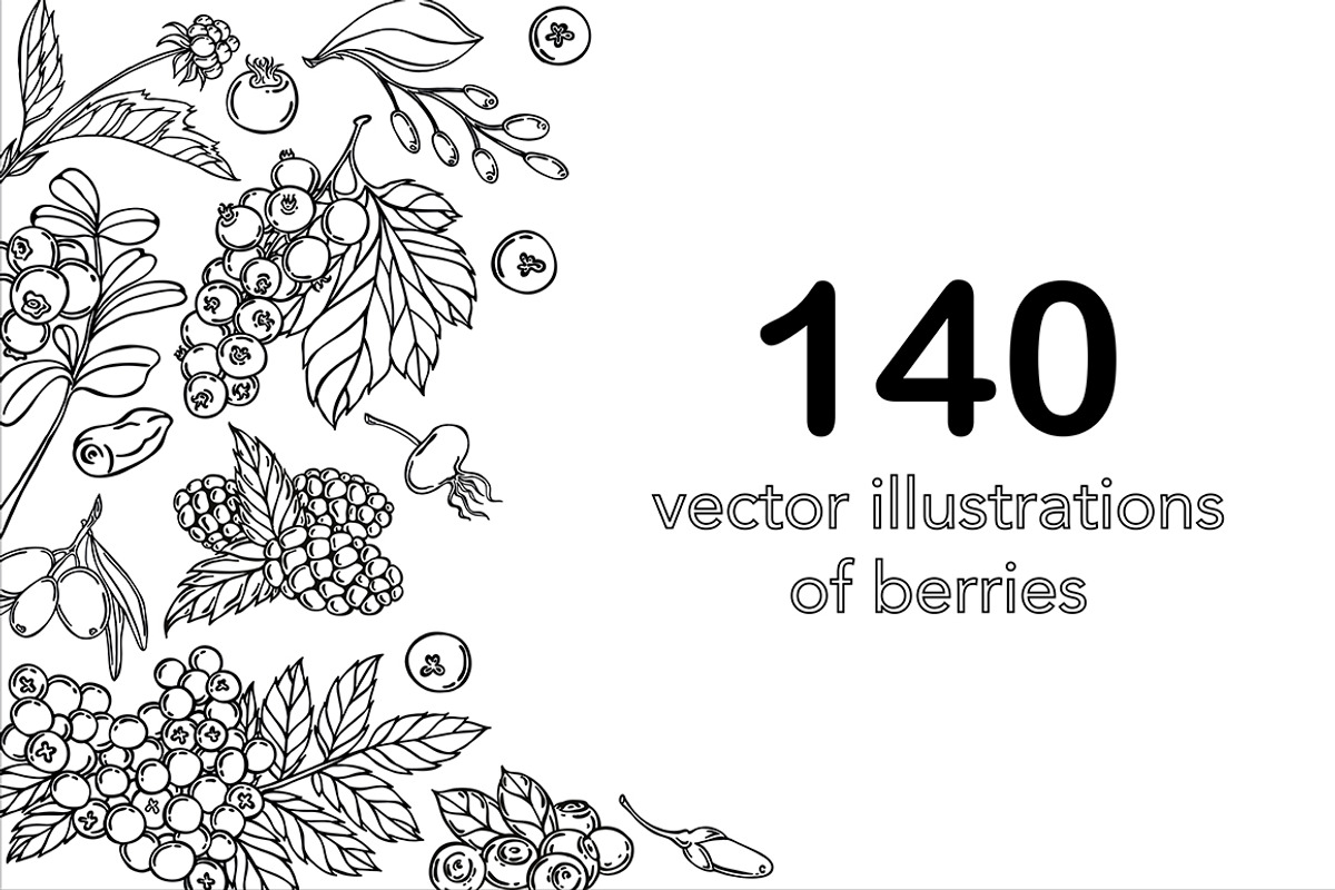 Vector berries, an Illustration by risovanya (Photo 1 of 9)