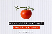 LABELCORE - display font duo, a Sans Serif Font by alenaganzhela (Thumbnail 7 of 8)