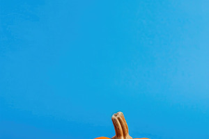 Single orange pumpkin on blue background with copy space, a Food & Drink Photo by José Manuel Gelpi