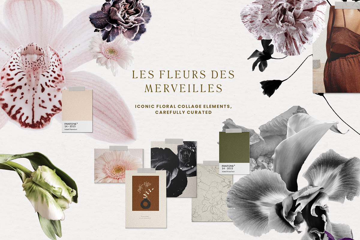 Modern Floral Poster Big Collection, a Texture Illustration by Laras Wonderland (Photo 5 of 27)
