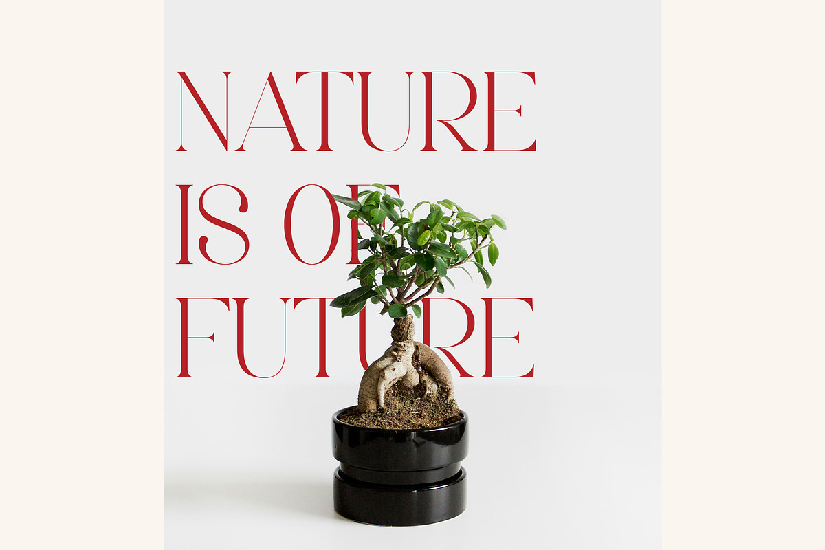 Saber - Elegant Serif Font, a Serif Font by Aqeel_Art (Photo 8 of 13)