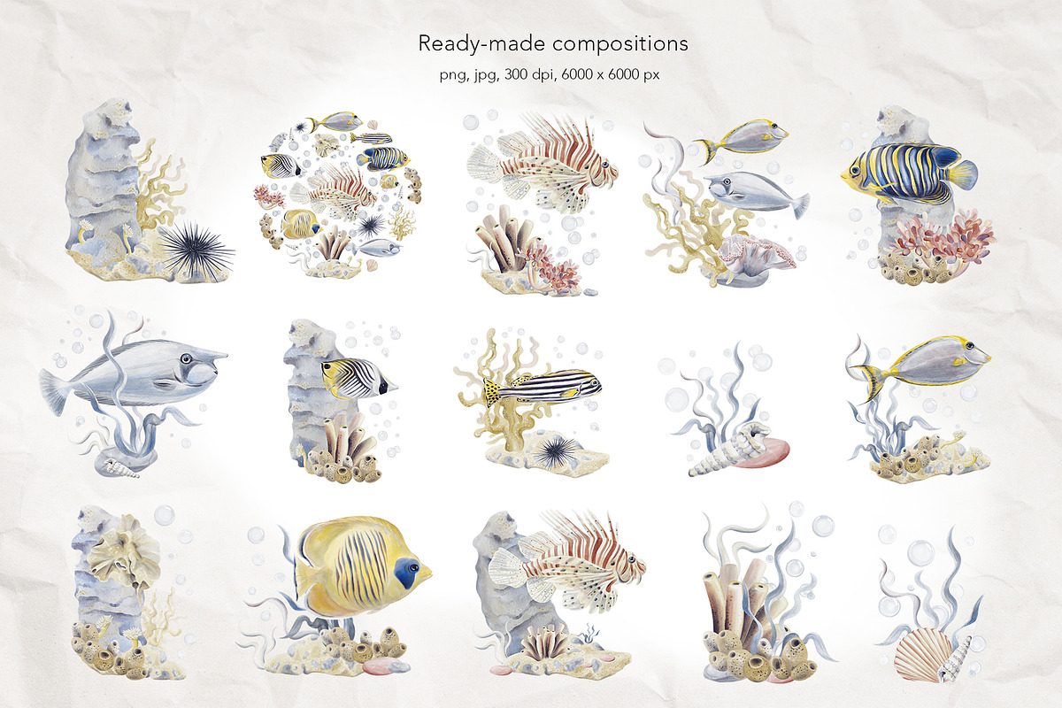 Tropical fish watercolor, an Animal Illustration by Alena Sid (Photo 5 of 11)