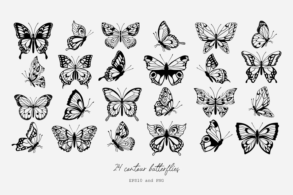 Butterflies vector collection, a Decorative Illustration by Glass Cat Design (Photo 4 of 10)