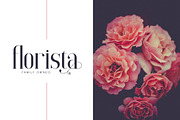 Elysian - serif font, a Serif Font by VP Fonts (Thumbnail 8 of 12)