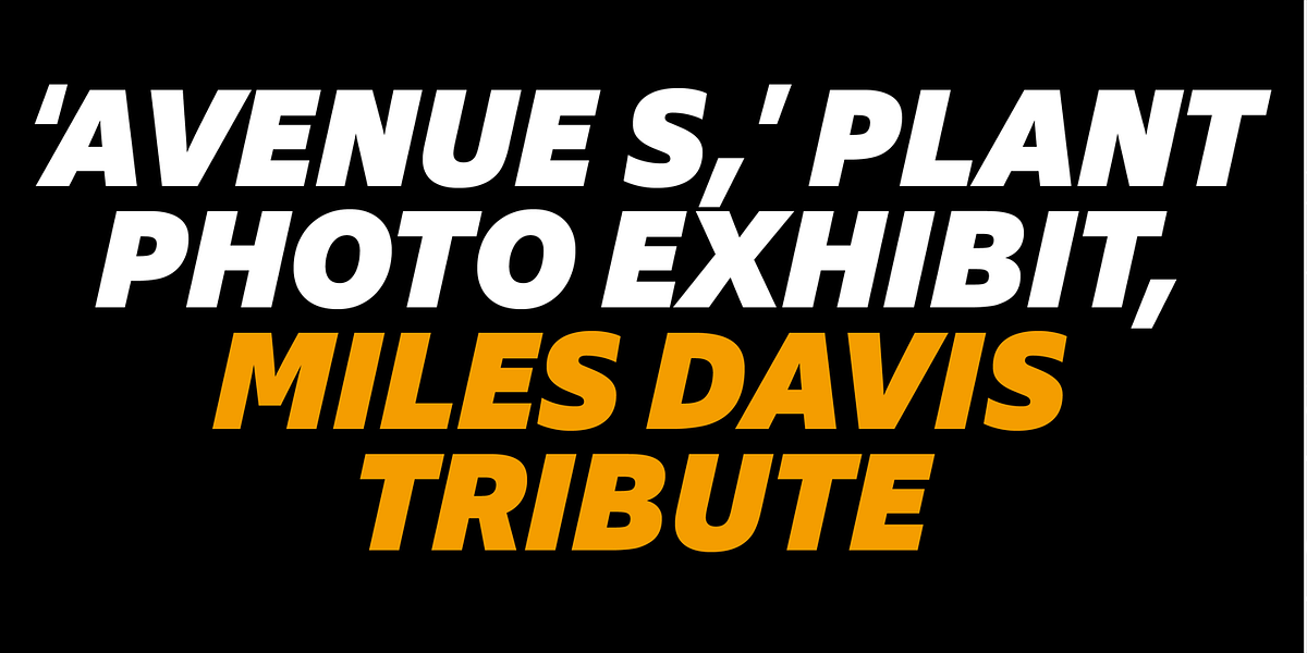 Galvani, a Sans Serif Font by Hoftype (Photo 14 of 15)