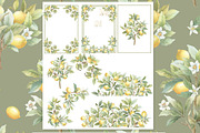 Vintage Lemon Floral Frames bundle, a Decorative Illustration by WonderWonder (Thumbnail 4 of 10)
