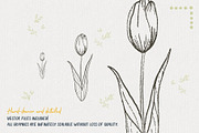 Bohemian Spring Illustrations, a Texture Illustration by amber&ink (Thumbnail 4 of 6)