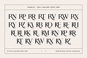 Charles - Chic Ligature Serif Font, a Serif Font by SilverStag Type Foundry (Thumbnail 27 of 31)