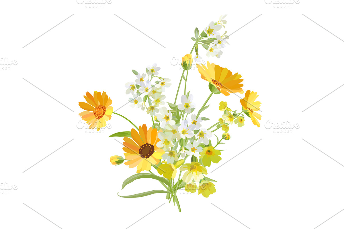 Vector object brushes. Primula., a Brush Add-On by Peolla (Photo 14 of 17)