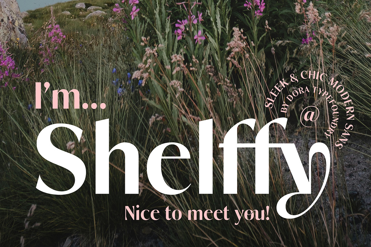 Shelffy, a Sans Serif Font by Dora Typefoundry (Photo 11 of 14)