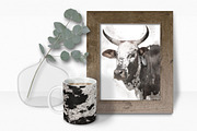 Nguni Hide Textures I, a Texture Graphic by rileyBgraphics (Thumbnail 4 of 7)