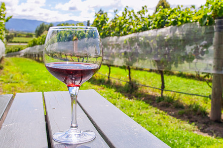 Glass With Red Wine In Vineyard Stock Photo Containing Red And Wine preview 5