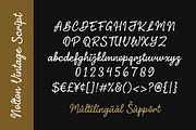 Nolton Vintage - Font Family, a Handwritten Font by Grezline Studio (Thumbnail 12 of 12)