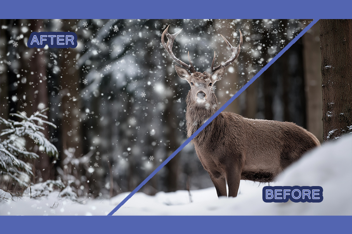 Snow Overlay, a Texture Graphic by BazziBa♥ (Photo 2 of 9)