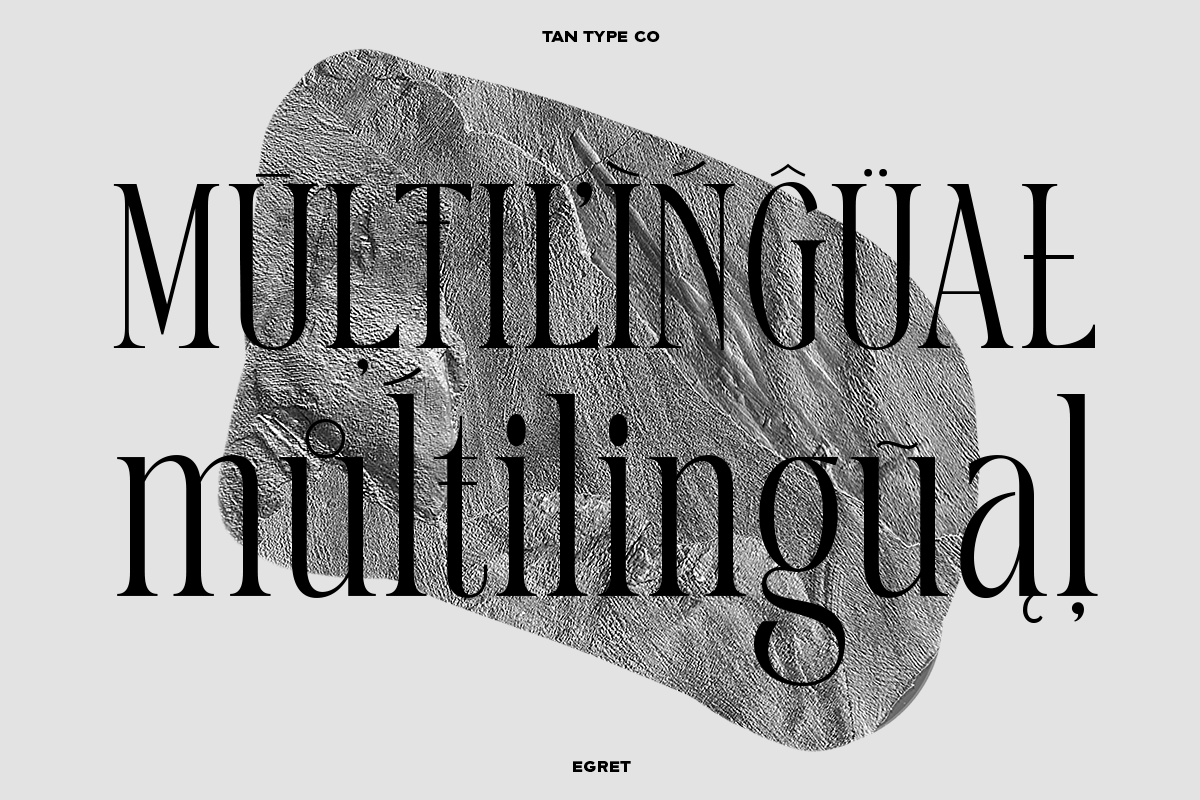TAN - EGRET, a Serif Font by TanType (Photo 19 of 19)