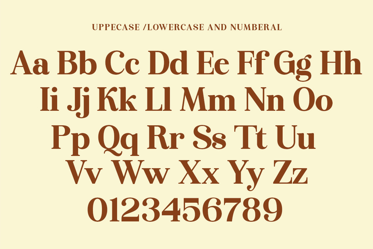 Rendey, a Serif Font by Gatype (Photo 9 of 9)