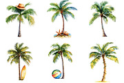 Tropical Palm Tree Clipart Bundle, an Illustration by Pixels.Craft (Thumbnail 6 of 8)