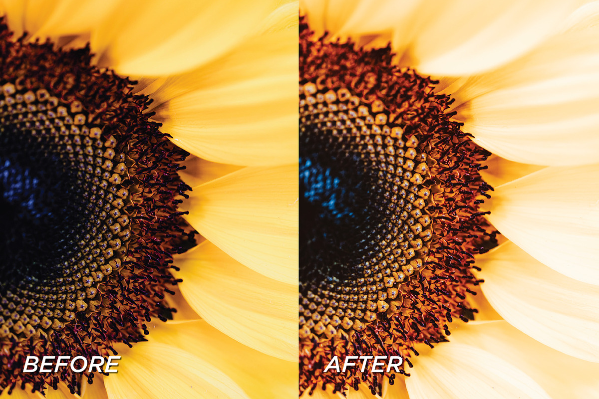 5 Sunflower Lightroom Presets, a Preset Add-On by TheWayfarerShoppe (Photo 5 of 7)