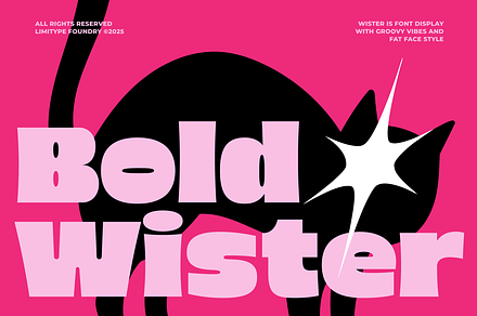 Wister - Bold Font, a Sans Serif Font by limitype