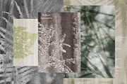 Botanical Imprint Nature Backgrounds, an Object Graphic by LenArt (Thumbnail 13 of 13)