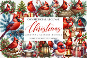 Watercolor Red Cardinal Clipart PNG, an Icon by SinaCreation (Thumbnail 1 of 7)