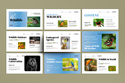 Wildlife Presentation Template, a Presentation Template by MightyDesign (Thumbnail 1 of 8)