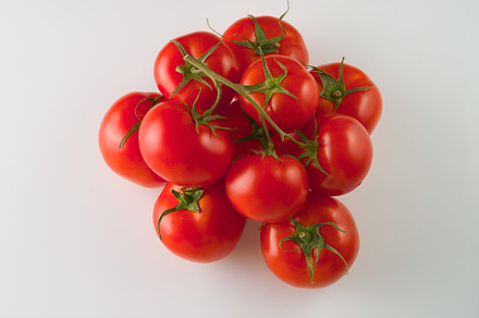 Red tomatoes fresh harvest on a whit stock photo containing vegetable and, a Food & Drink Photo by oleghz