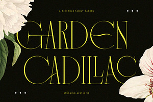 Vagesha Rolenda - Fancy Serif