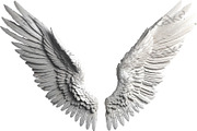 set of photorealistic angel wings, an Object Graphic by itakdalee (Thumbnail 11 of 11)