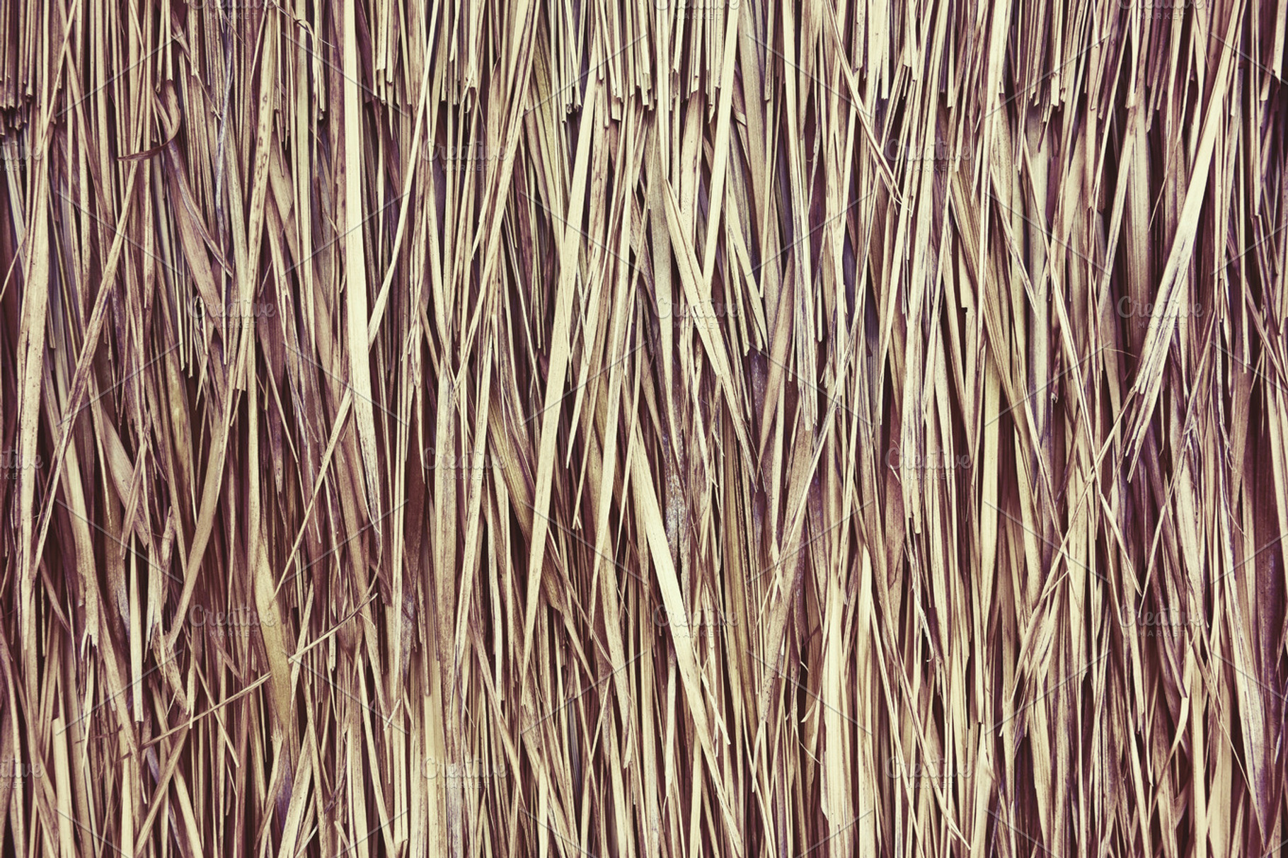 Thatched Texture