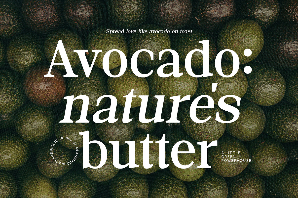 Minggu - Elegant Serif Font, a Serif Font by TypeLogue (Photo 4 of 5)