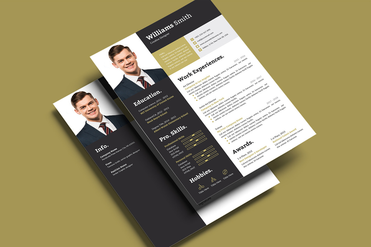 Resume/CV Template, a Resume Template by TheStyle-2 (Photo 3 of 4)