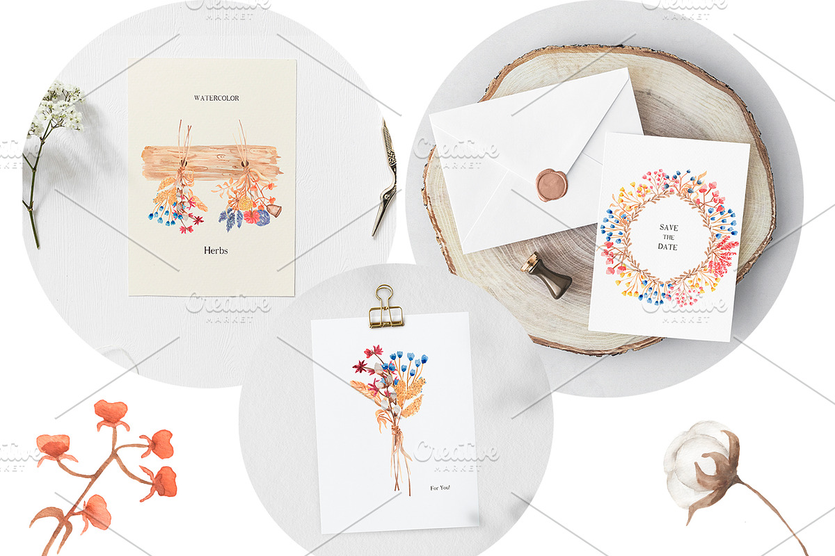 Dried Herbs and Wildflowers, an Illustration by MayaNavits (Photo 8 of 13)