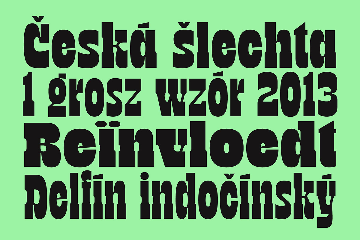 TNSC Bink - Slab Serif Display, a Slab Serif Font by The Native Saint Club (Photo 6 of 16)