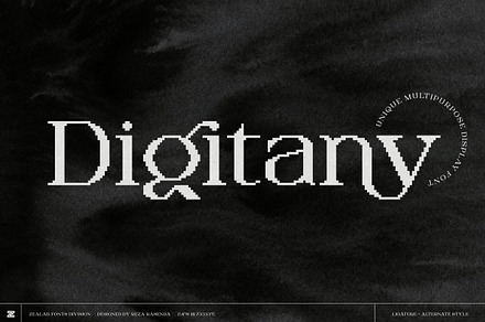 DIGITANY, a Serif Font by Bagerich Type Foundry