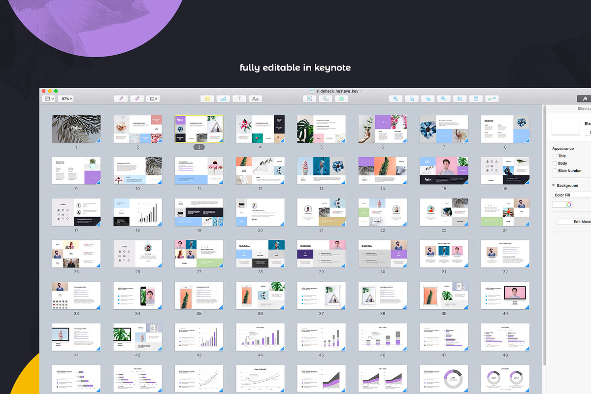 Nestava - Modern Keynote Template, a Presentation Template by Slidehack (Photo 2 of 2)