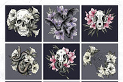 POISON | Watercolor HALLOWEEN set, a Decorative Illustration by Tanya Vollar (Thumbnail 15 of 16)
