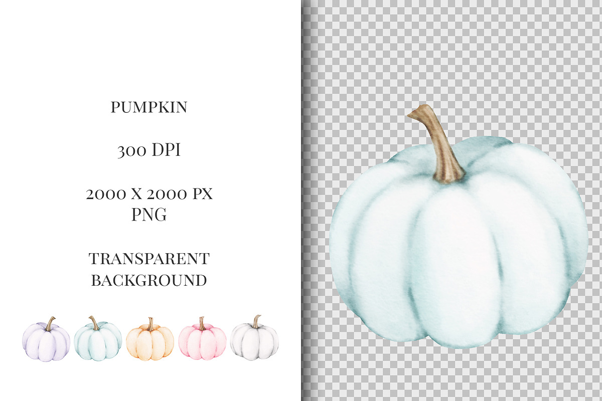 Pumpkin watercolor clipart., an Illustration by ARTVracovska (Photo 2 of 3)