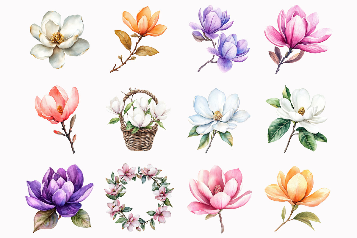 Watercolor Magnolia Flower Clipart, an Illustration by Design Market (Photo 2 of 5)