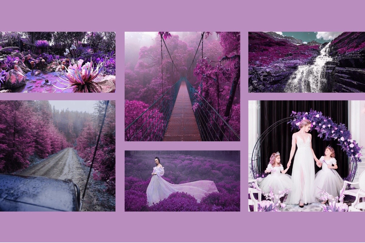 454 Infrared Fantasy Pro LUTs, a Preset Add-On by ShutterPro (Photo 6 of 48)