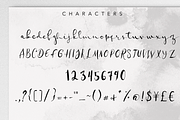 Serpentine Script Font Family, a Script Font by Wooly Pronto (Thumbnail 7 of 8)