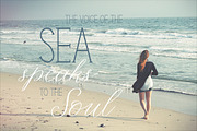 Fiesta. Font Duo. + Bonuses, a Script Font by Red Ink (Thumbnail 11 of 14)